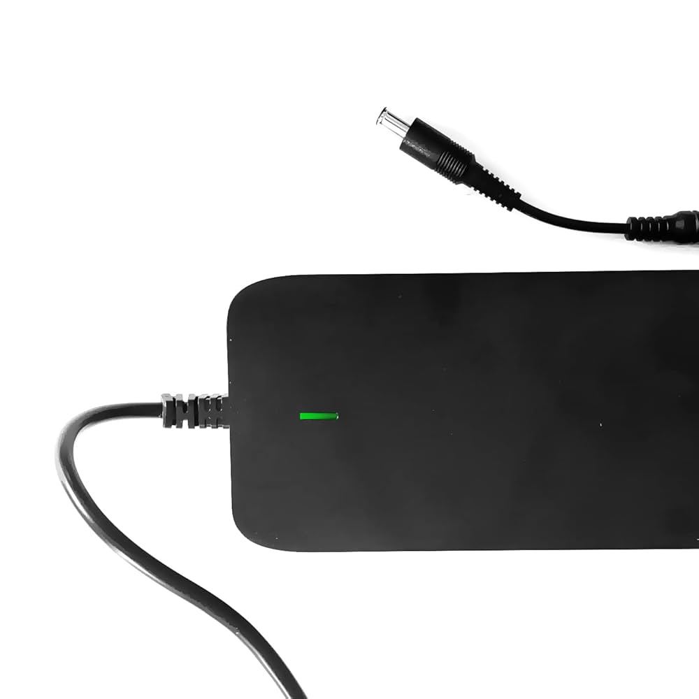Amazon.com: Enerpower Charger 42V for 36V battery VanMoof S3
